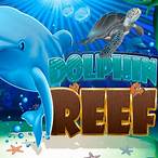 slot game dolphin